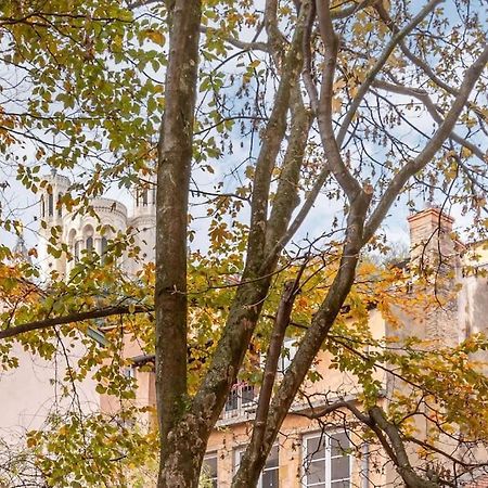 Le Cocon De Saint-Jean Apartment Lyon Luaran gambar